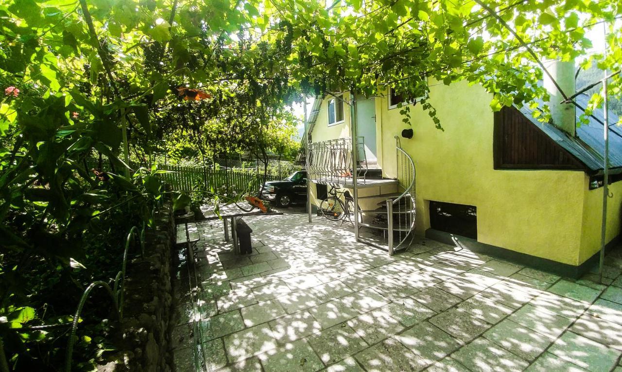 Bacho,S Cottage Bordjomi Extérieur photo